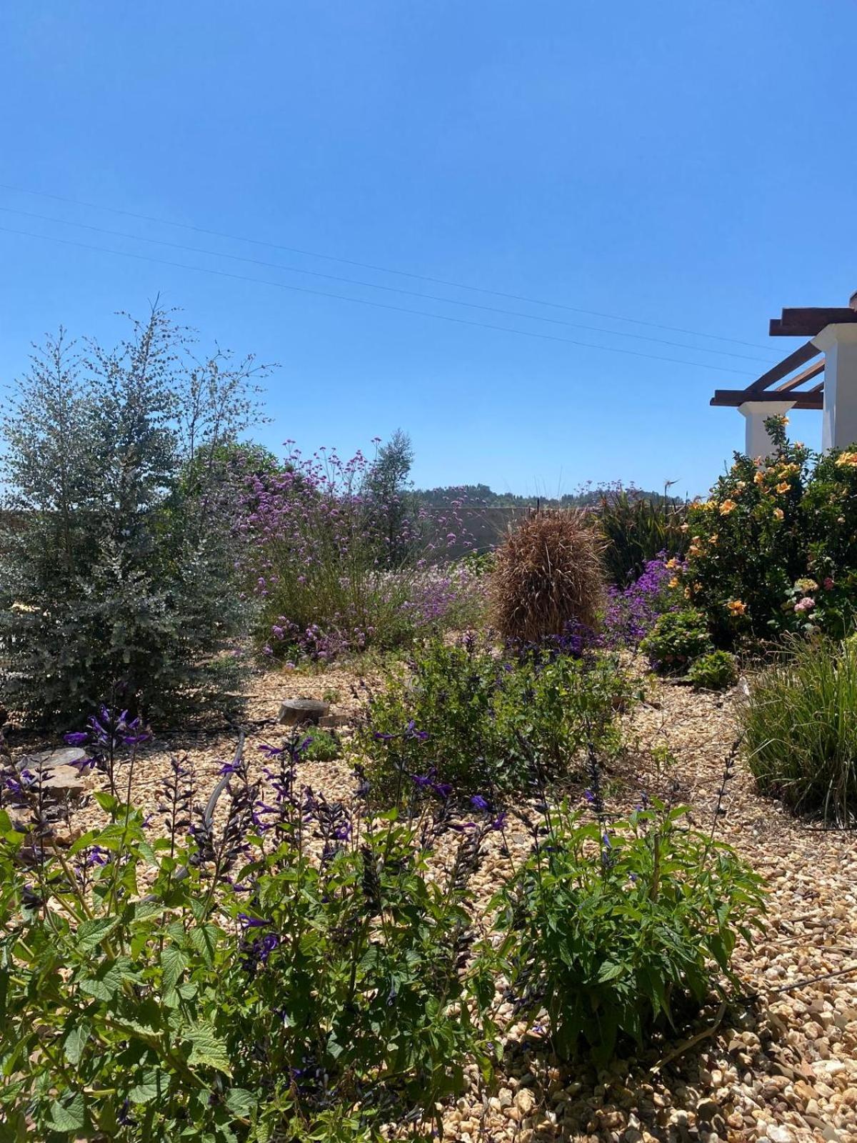 Villa Quinta Cunte - Casa Sobreiro São Luis Esterno foto