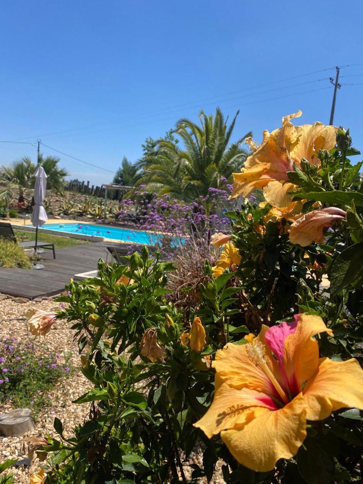 Villa Quinta Cunte - Casa Sobreiro São Luis Esterno foto