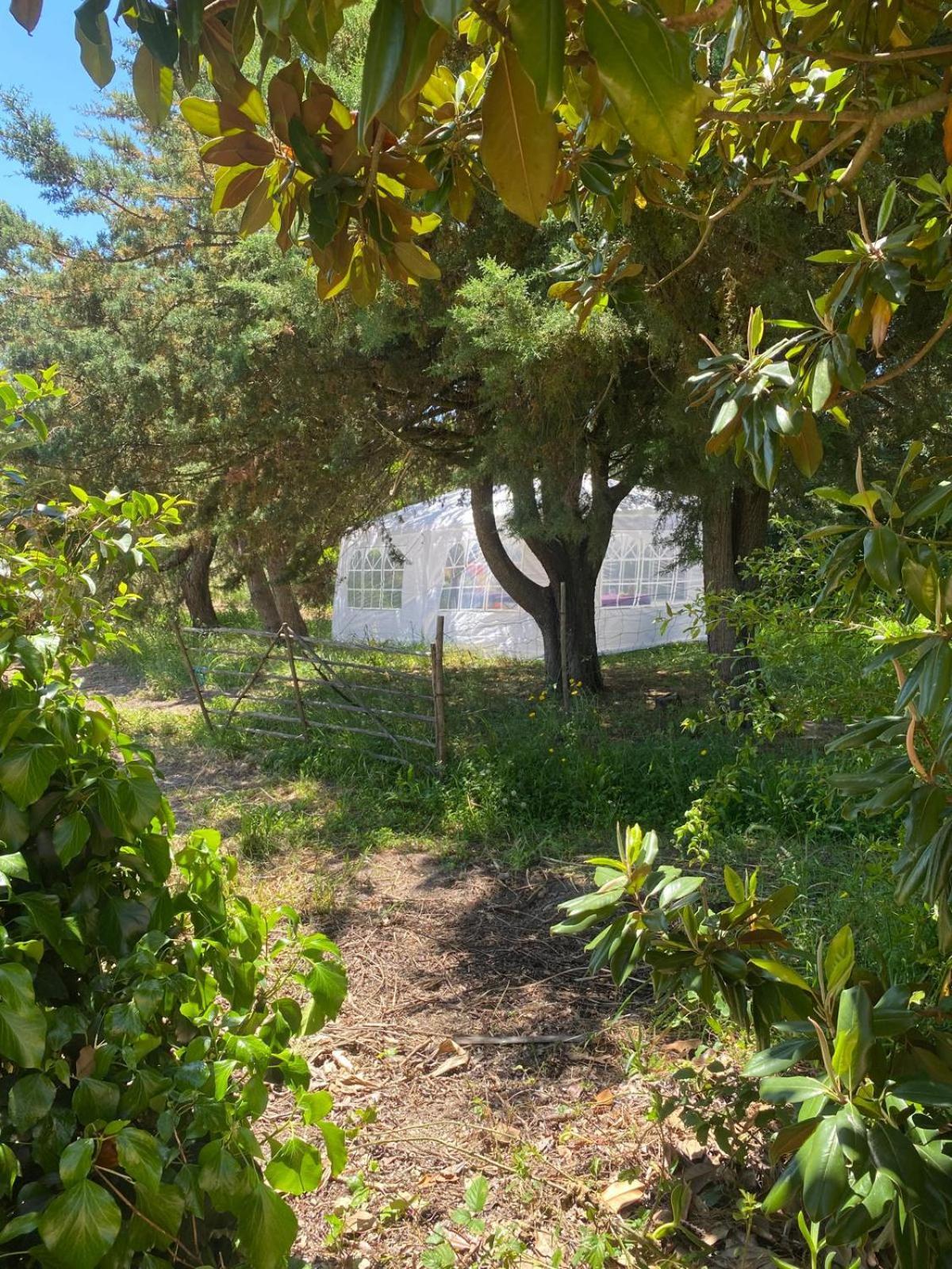 Villa Quinta Cunte - Casa Sobreiro São Luis Esterno foto